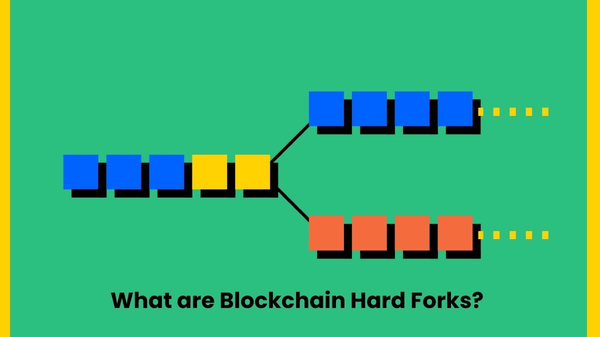 What are Blockchain Hard Forks?