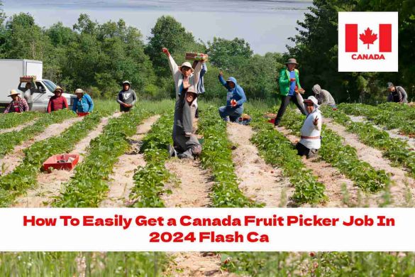 How To Easily Get a Canada Fruit Picker Job In 2024 Flash Ca